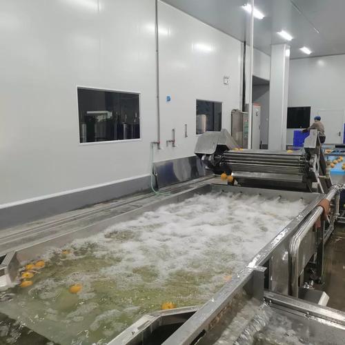 超声波清洗设备 从源头工厂视角看百香果、小金桔、橙子、黄皮的高效清洁解决方案